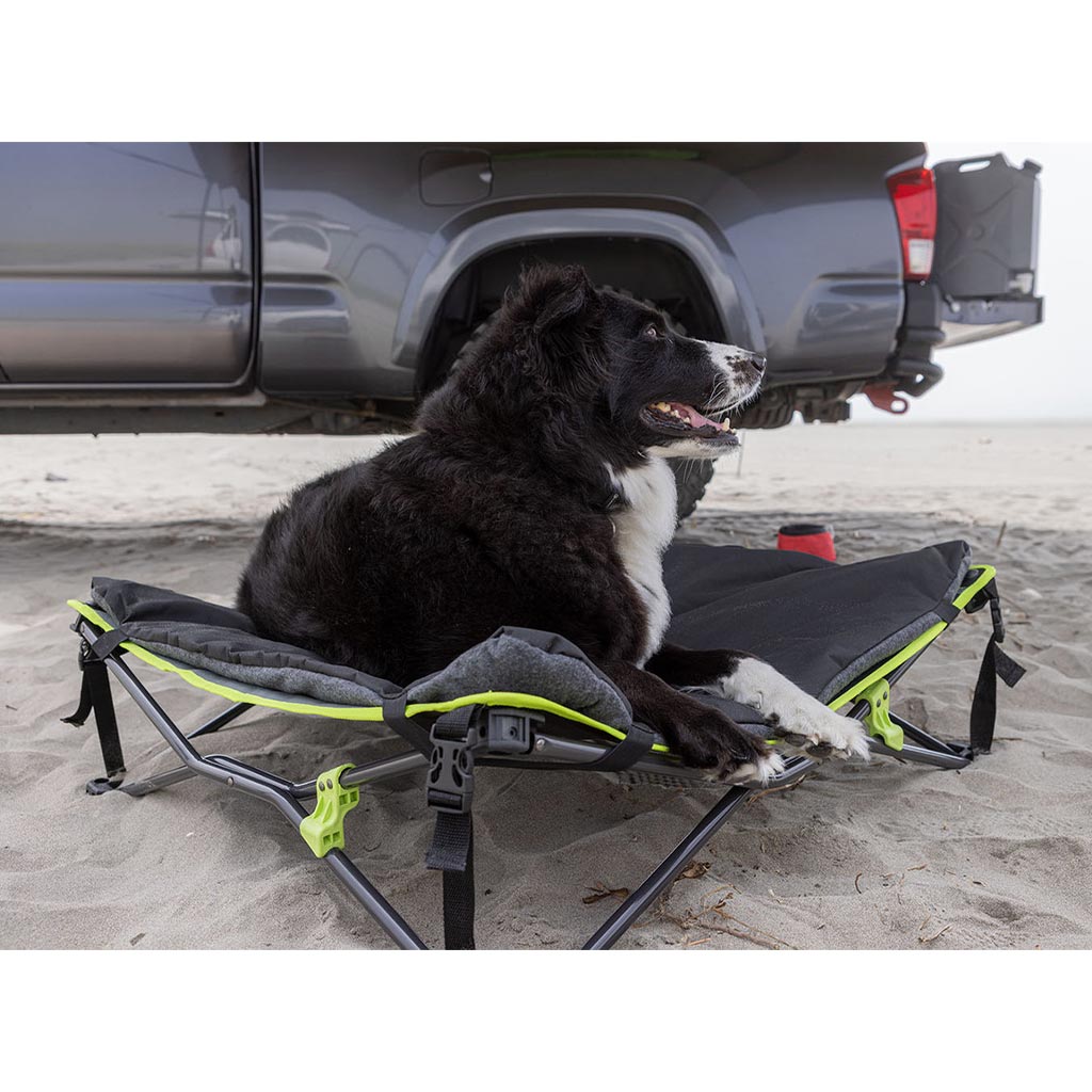 Quick Fold Dog Bed With Padded Mat IPET0023