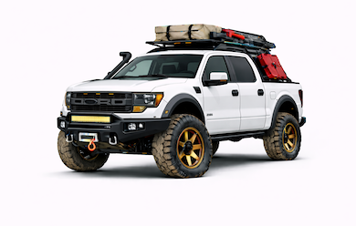 F-150 Raptor 10-14 (1st Gen)