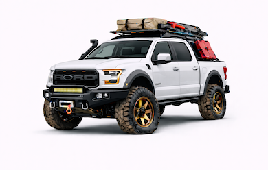 F-150 Raptor 17-20 (2nd Gen)