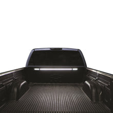 Load image into Gallery viewer, Photo - Mounted