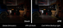 Load image into Gallery viewer, User 3