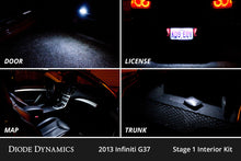 Load image into Gallery viewer, User 5