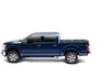Load image into Gallery viewer, Photo - Mounted