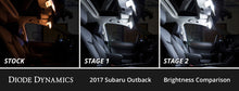 Load image into Gallery viewer, User 5