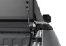 Load image into Gallery viewer, Photo - Mounted