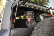 Load image into Gallery viewer, DV8 Offroad 2021-2024 Ford Bronco Dog Barrier