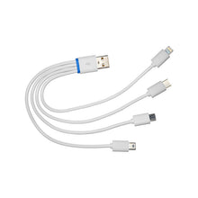 Load image into Gallery viewer, Antigravity Batteries Multi-Tip USB Cable 4-into-1 - 132088